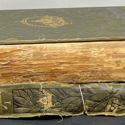 Two Books "Les Maisons Souveraines De L'Europe" Collection Hasse W. Tullberg