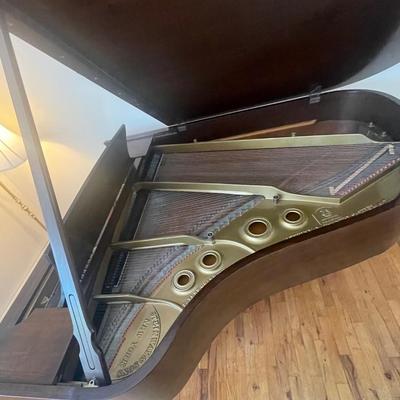 Steinway Grand Piano