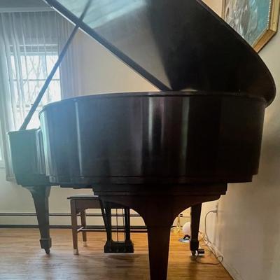 Steinway Grand Piano