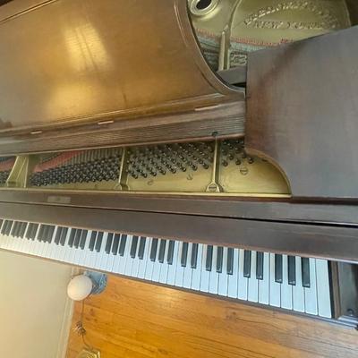 Steinway Grand Piano