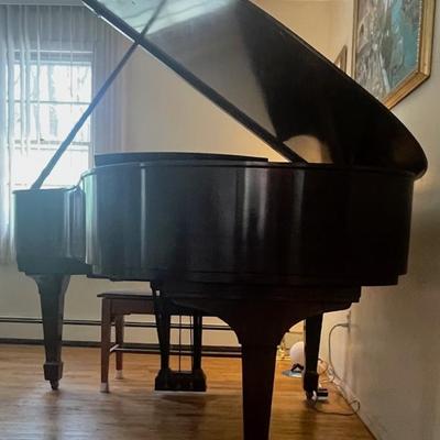 Steinway Grand Piano