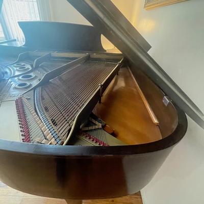 Steinway Grand Piano