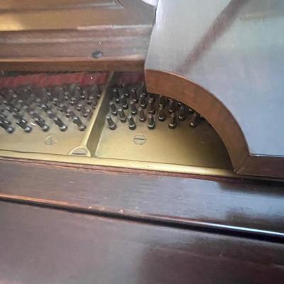 Steinway Grand Piano
