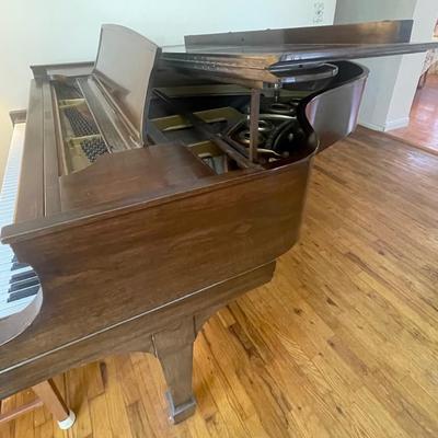 Steinway Grand Piano