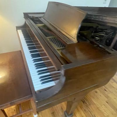 Steinway Grand Piano