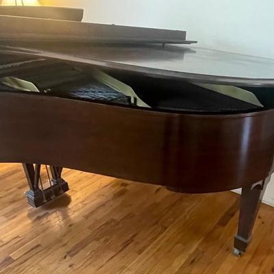 Steinway Grand Piano