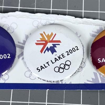 SL 2002 Button Pin 