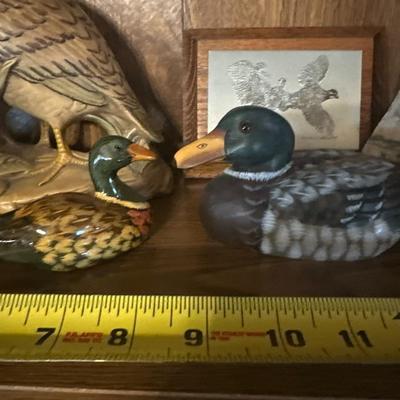 Duck figure lot