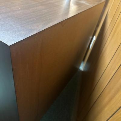 Mid century modern enclosed bookcase