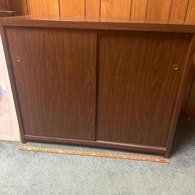 Mid century modern enclosed bookcase