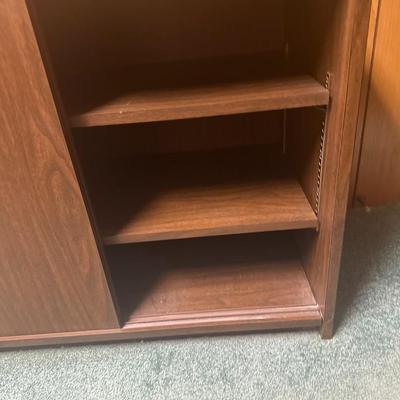 Mid century modern enclosed bookcase