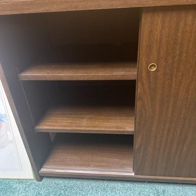 Mid century modern enclosed bookcase