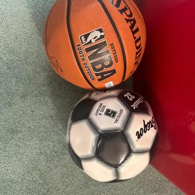 Sport ball and bin