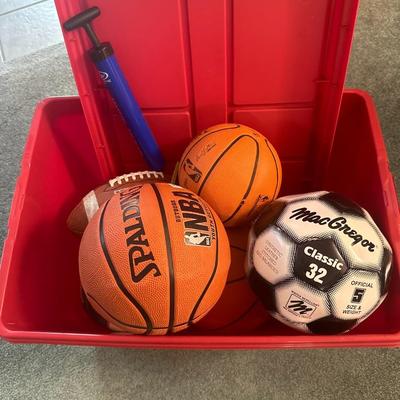 Sport ball and bin