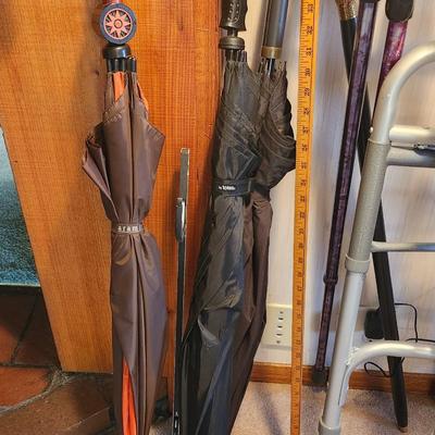 Canes, crutches, and umbrellas