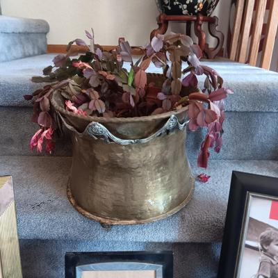 LIVE PLANT IN A HEAVY BRASS POT AND PICTURE FRAMES