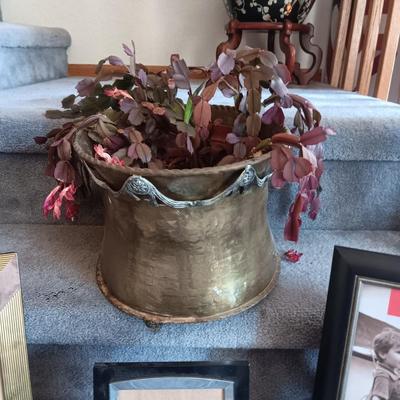 LIVE PLANT IN A HEAVY BRASS POT AND PICTURE FRAMES