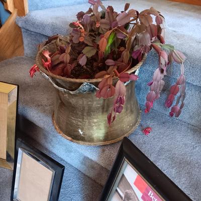 LIVE PLANT IN A HEAVY BRASS POT AND PICTURE FRAMES