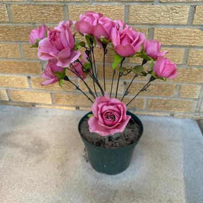 Outdoor household decor lot, fake plant and rugs