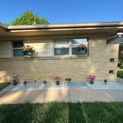 Outdoor household decor lot, fake plant and rugs