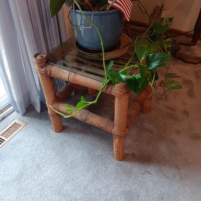 GENUINE BAMBOO END TABLE WITH GLASS TOP PLUS A LIVE PLANT