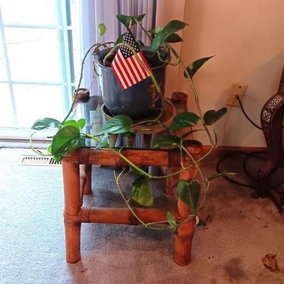 GENUINE BAMBOO END TABLE WITH GLASS TOP PLUS A LIVE PLANT