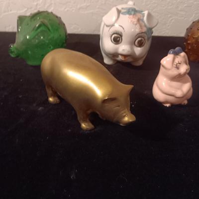 VERY CUTE LITTLE PIGS