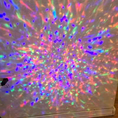 Outdoor Holiday Projecting Light