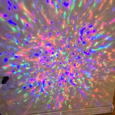 Outdoor Holiday Projecting Light