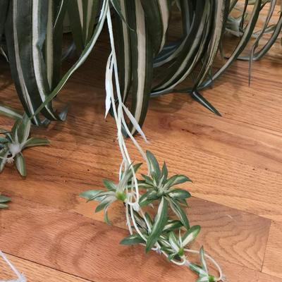 Faux Spider Ivy