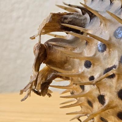 Dried Puffer Fish
