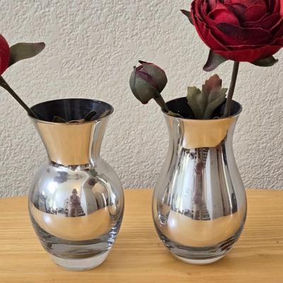 (2) Glass Vases