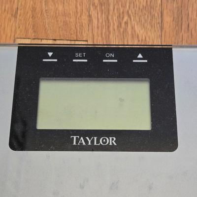 Bathroom Scale