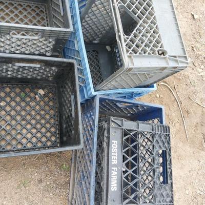 PLASTIC CRATES (8)