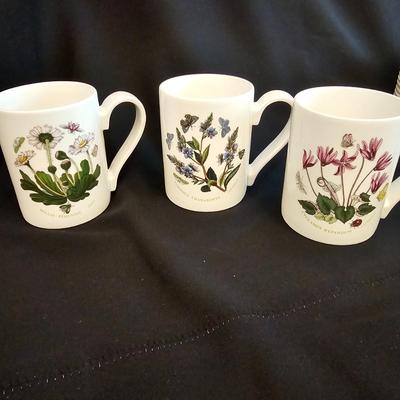 8 Person Port Meirion China Set (K-JS)