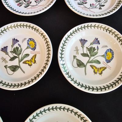 8 Person Port Meirion China Set (K-JS)