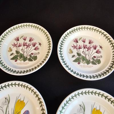 8 Person Port Meirion China Set (K-JS)