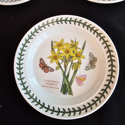 8 Person Port Meirion China Set (K-JS)