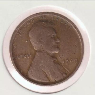 1909 Penny first year wheat