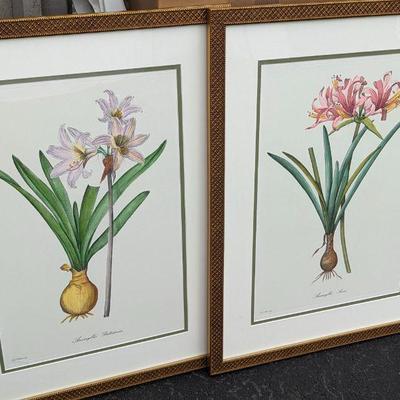 J. Rocker large framed botanical prints 21.75