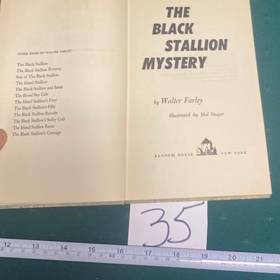 Vintage The Black Stallion Mystery