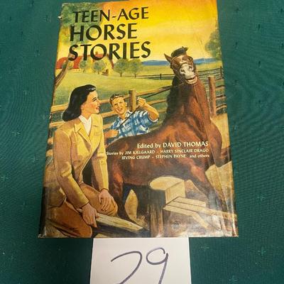 Teen-Age Horse Stories