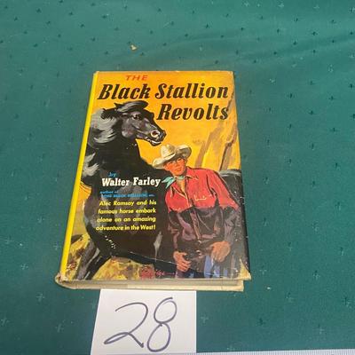 The Black Stallion Revolts