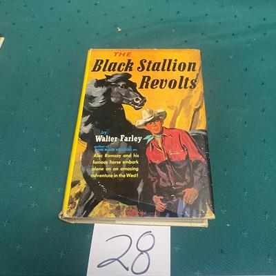 The Black Stallion Revolts