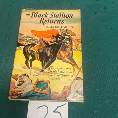 The Black Stallion Returns