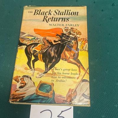 The Black Stallion Returns
