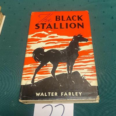 Black Stallion