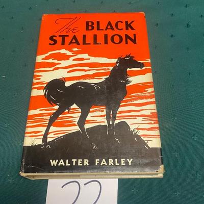 Black Stallion