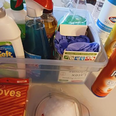 VARIETY OF CLEANING SUPPLIES AND A NEW STEP STOOL