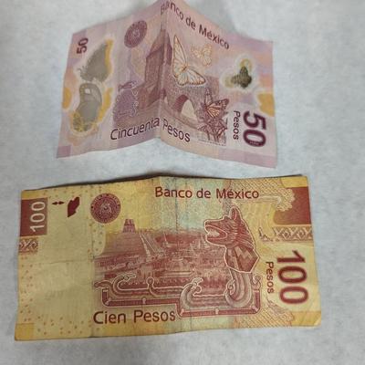 Foreign Currency